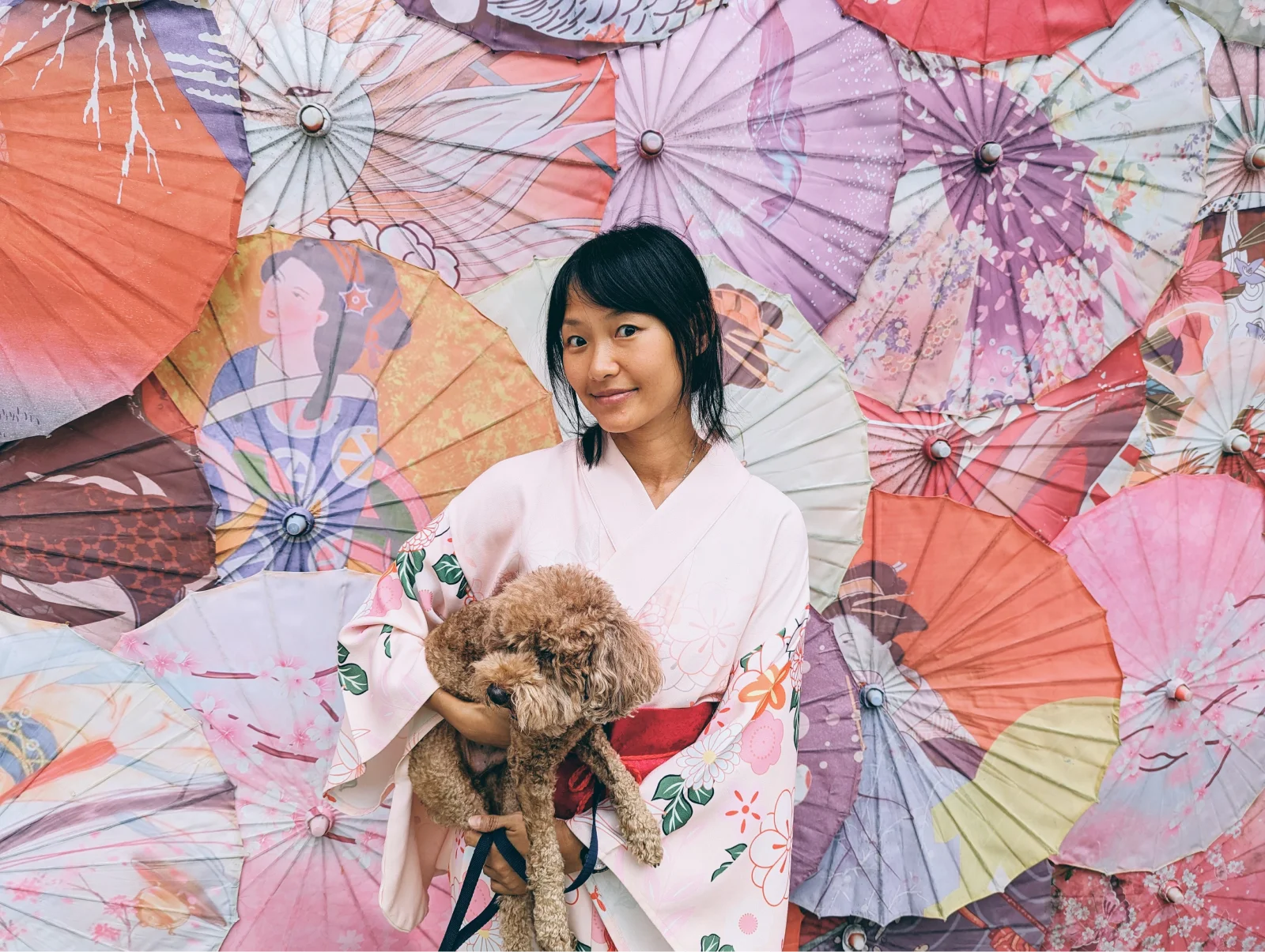 Yachin You photo